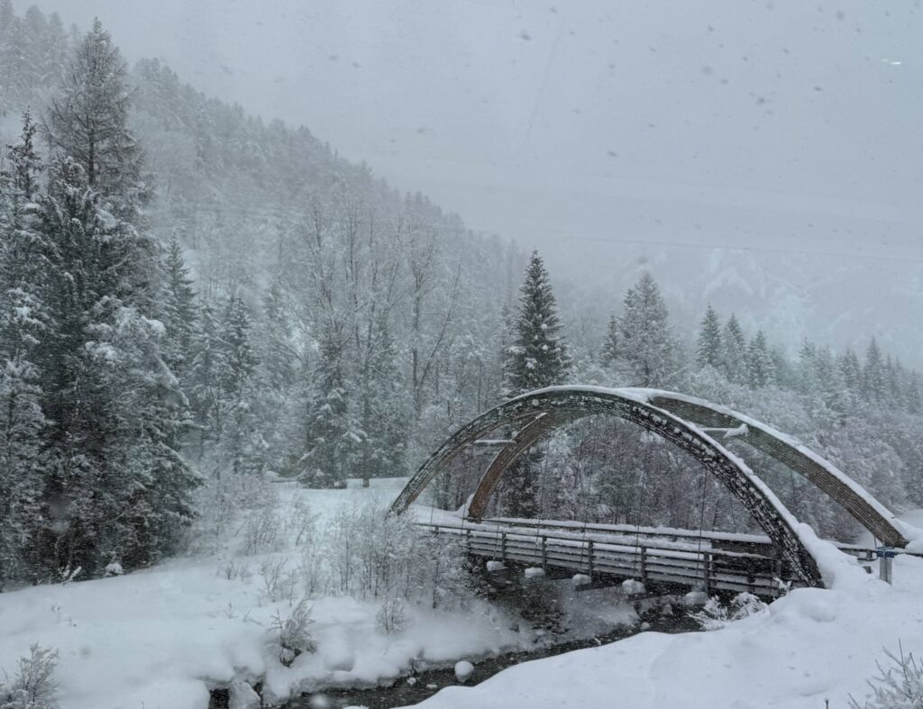 View from the Glacier Express of the snowy Swiss countryside
